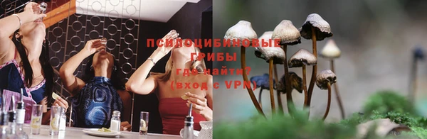 дурь Алексеевка