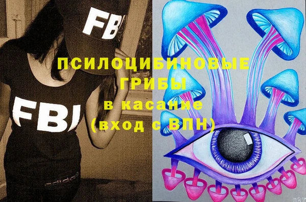 дурь Алексеевка