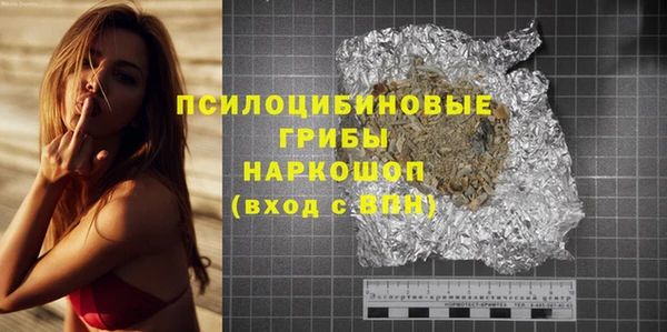 apvp Алзамай