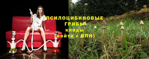 apvp Алзамай