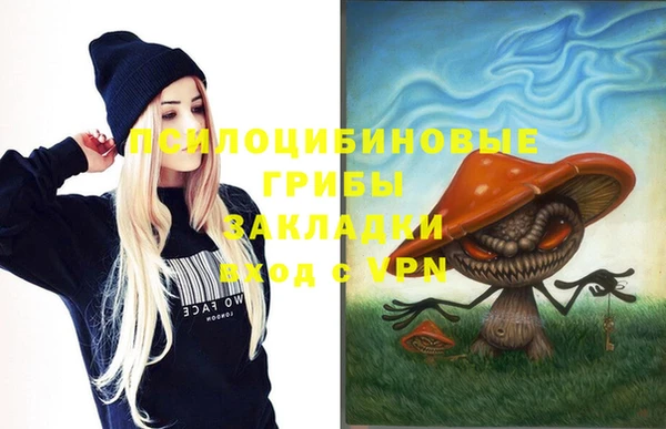 apvp Алзамай