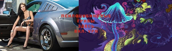гидропоника Алексин